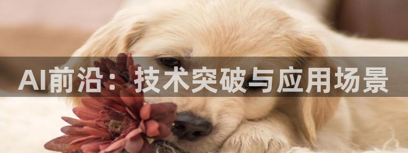 AI前沿：技术突破与应用场景