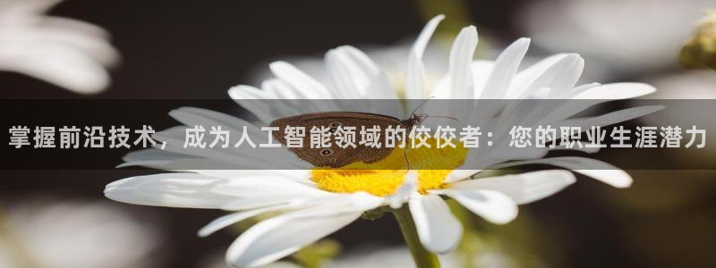 掌握前沿技术，成为人工智能领域的佼佼者：您的职业生涯潜力
