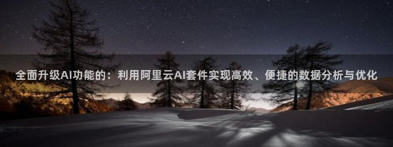 全面升级AI功能的：利用阿里云AI套件实现高效、便捷的数据分析与优化