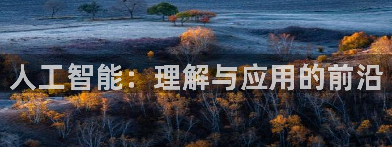 人工智能：理解与应用的前沿