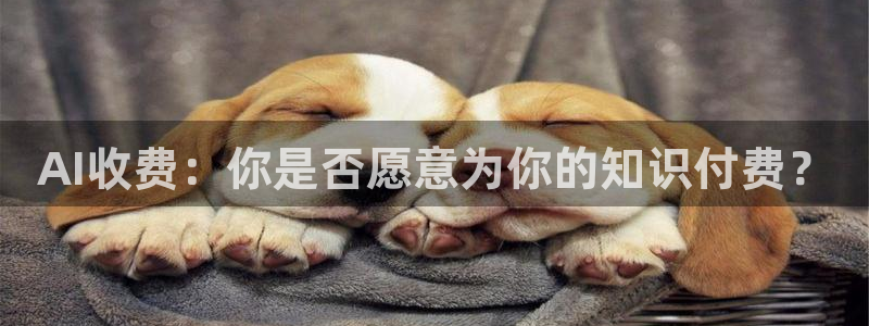 AI收费：你是否愿意为你的知识付费？