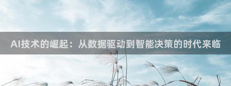 AI技术的崛起：从数据驱动到智能决策的时代来临