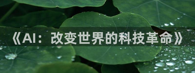 《AI：改变世界的科技革命》