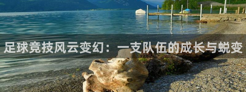 足球竞技风云变幻：一支队伍的成长与蜕变