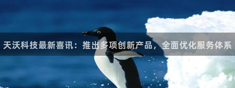 天沃科技最新喜讯：推出多项创新产品，全面优化服务体系