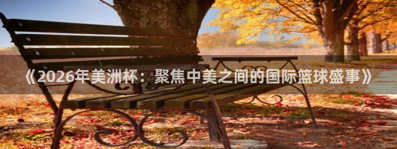 《2026年美洲杯：聚焦中美之间的国际篮球盛事》