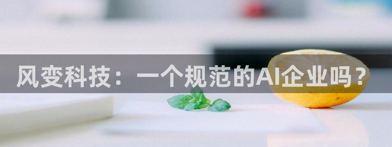 风变科技：一个规范的AI企业吗？