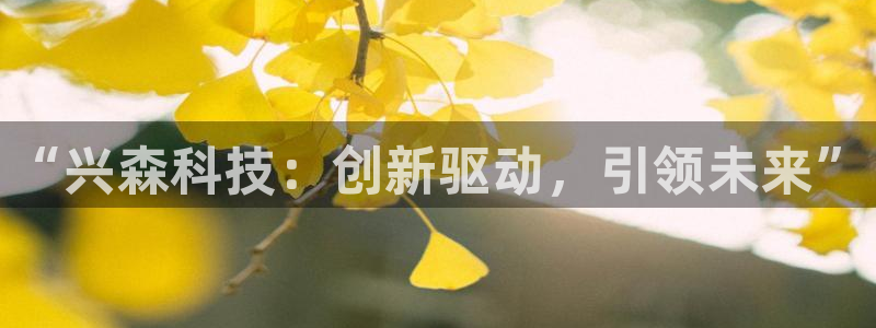 “兴森科技：创新驱动，引领未来”