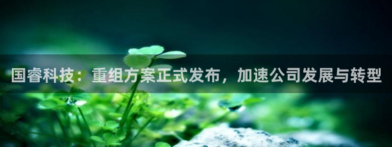 国睿科技：重组方案正式发布，加速公司发展与转型