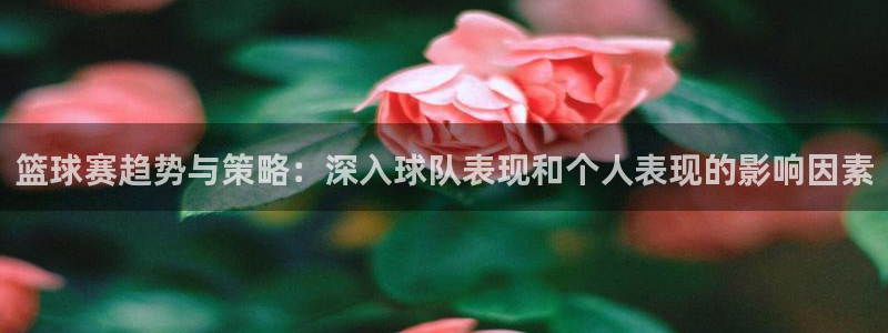 篮球赛趋势与策略：深入球队表现和个人表现的影响因素