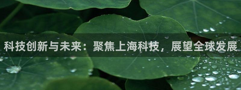 科技创新与未来：聚焦上海科技，展望全球发展