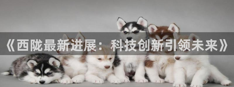 《西陇最新进展：科技创新引领未来》