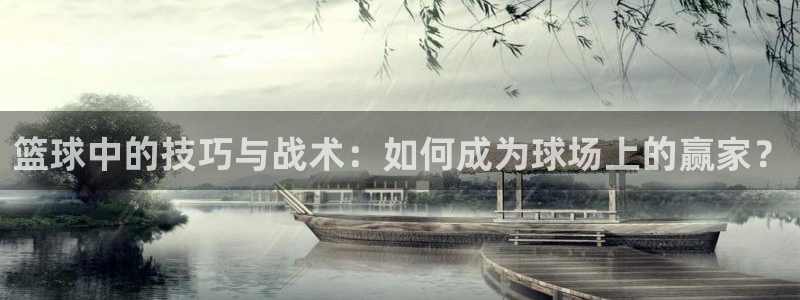 篮球中的技巧与战术：如何成为球场上的赢家？