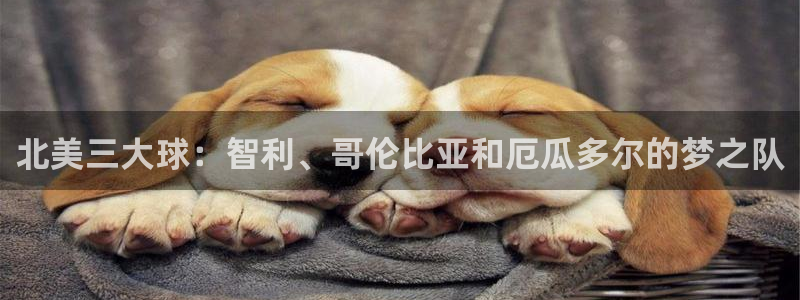 北美三大球：智利、哥伦比亚和厄瓜多尔的梦之队