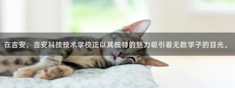 在吉安，吉安科技技术学校正以其独特的魅力吸引着无数学子的目光。