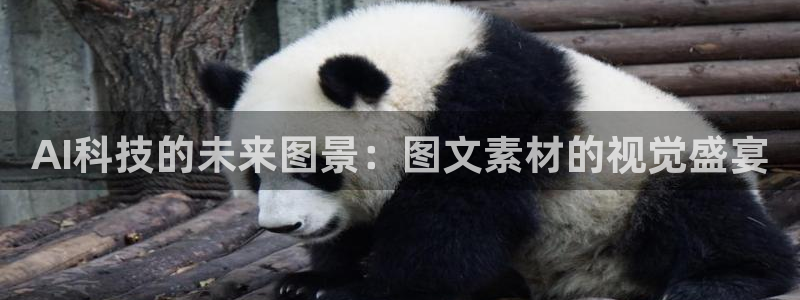 AI科技的未来图景：图文素材的视觉盛宴