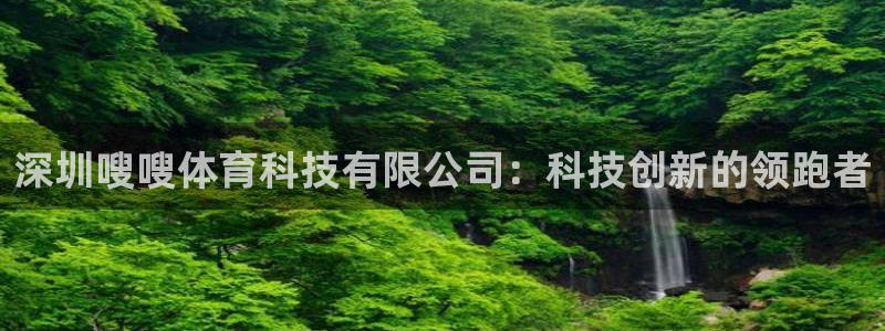 深圳嗖嗖体育科技有限公司：科技创新的领跑者