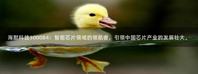 海默科技300084：智能芯片领域的领航者，引领中国芯片产业的发展壮大。