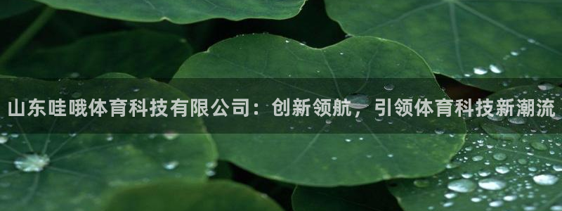 山东哇哦体育科技有限公司：创新领航，引领体育科技新潮流